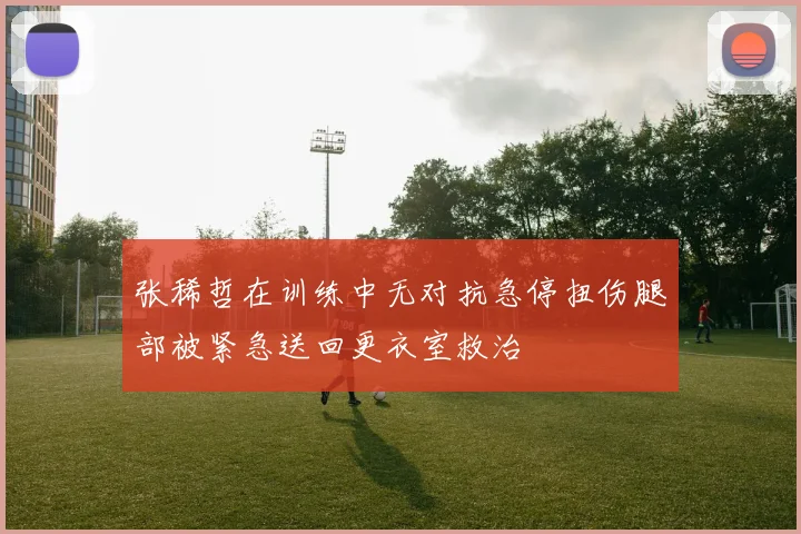 张稀哲在训练中无对抗急停扭伤腿部被紧急送回更衣室救治